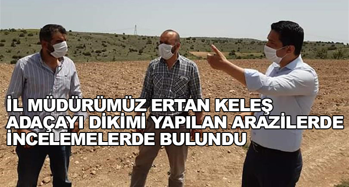 İl Müdürümüz Ertan Keleş Adaçayı Dikimi Yapılan Arazilerde İncelemelerde Bulundu
