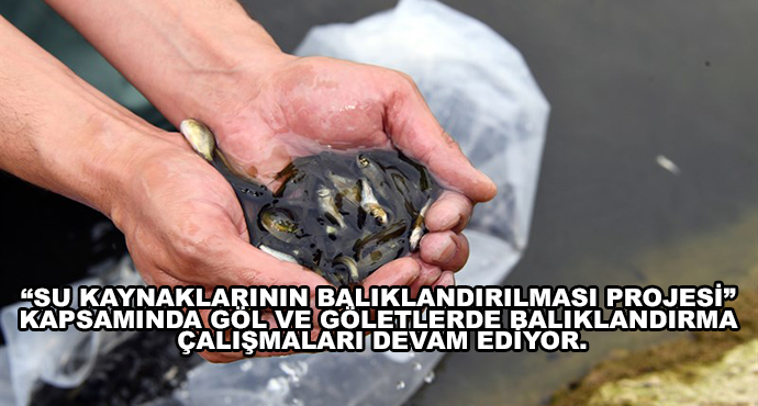 “Su Kaynaklarının Balıklandırılması Projesi” Kapsamında Göl Ve Göletlerde Balıklandırma Çalışmaları Devam Ediyor.