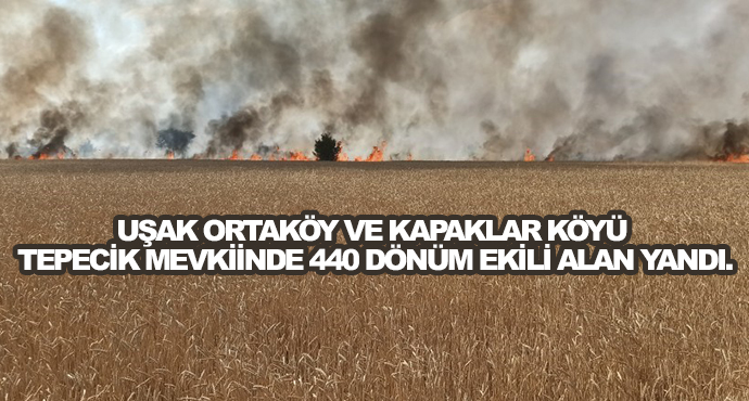 Uşak Ortaköy Ve Kapaklar Köyü Tepecik Mevkiinde 440 Dönüm Ekili Alan Yandı.