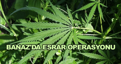 Banaz'da Esrar Operasyonu