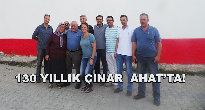 130 Yıllık Çınar  Ahat’ta!