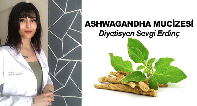 Ashwagandha Mucizesi