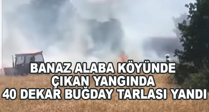 Banaz Alaba Köyünde Çıkan Yangında 40 Dekar Buğday Tarlası Yandı