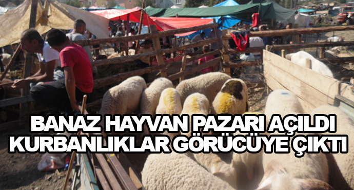 Banaz Hayvan Pazarı Açıldı-Kurbanlıklar Görücüye Çıktı