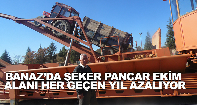 Banaz’da Şeker Pancar Ekim Alanı Her Geçen Yıl Azalıyor