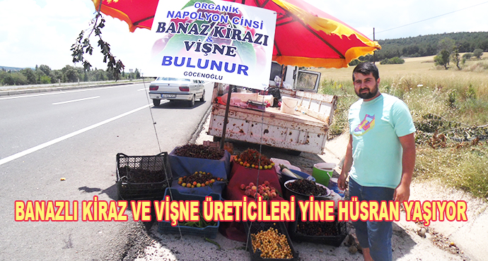 Banazlı Kiraz Ve Vişne Üreticileri Yine Hüsran Yaşıyor