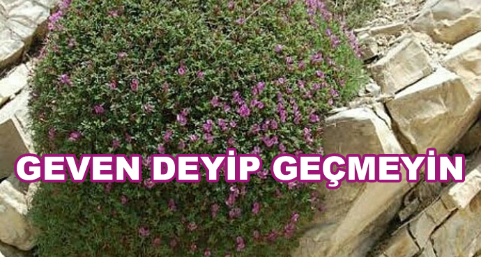 Geven Deyip Geçmeyin