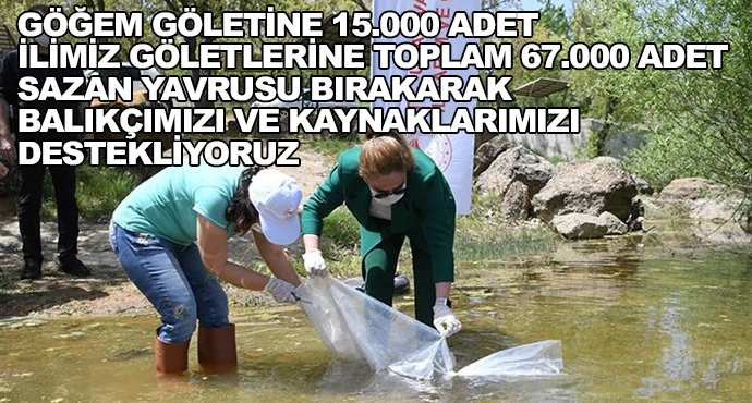 Göğem Göletine 15.000 Adet İlimiz Göletlerine Toplam 67.000 Adet Sazan Yavrusu Bırakarak Balıkçımızı Ve Kaynaklarımızı Destekliyoruz