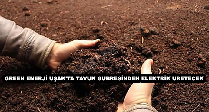 Green Enerji Uşak'ta Tavuk Gübresinden Elektrik Üretecek