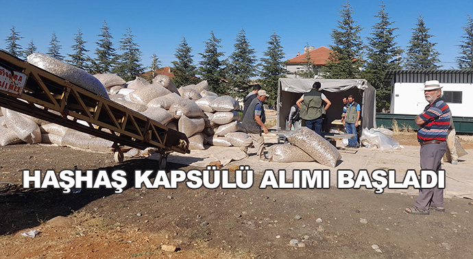 Haşhaş Kapsülü Alımı Başladı