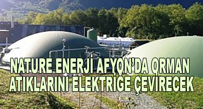 Nature Enerji Afyon’da Orman Atıklarını Elektriğe Çevirecek