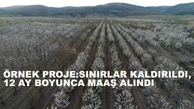 Örnek Proje:Sınırlar Kaldırıldı, 12 Ay Boyunca Maaş Alındı