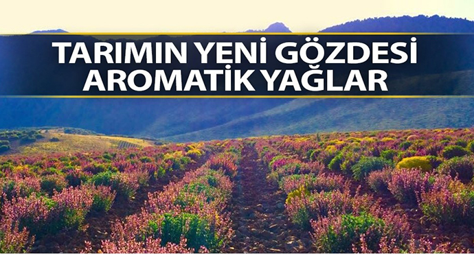 Tarımın Yeni Gözdesi Aromatik Yağlar