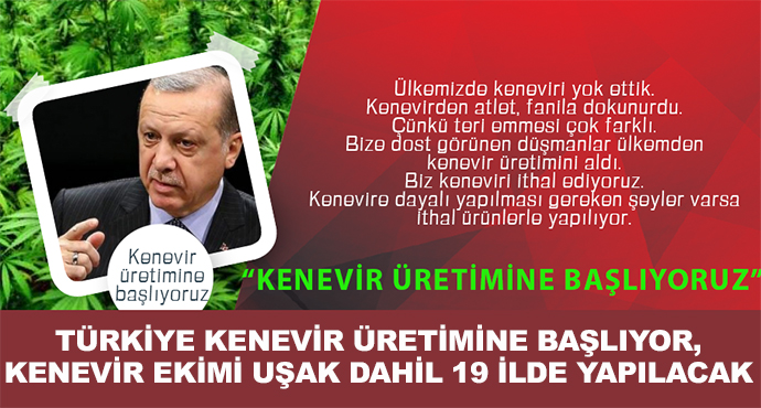 Türkiye Kenevir Üretimine Başlıyor,Kenevir Ekimi Uşak Dahil 19 İlde Yapılacak