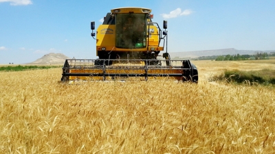 2017 Yılı Buğday Taban Fiyatı Açıklandı