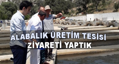 Alabalık Üretim Tesisi Ziyareti Yaptık