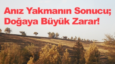 Anız Yakmanın Sonucu:Doğaya Büyük Zarar!