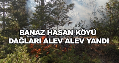 Banaz Hasan Köyü Dağları Alev Alev Yandı