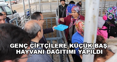 Genç Çiftçilere Küçük Baş Hayvanı Dağıtımı Yapıldı