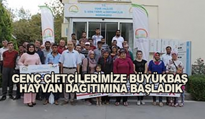 Genç Çiftçilerimize Büyükbaş Hayvan Dağıtımına Başladık