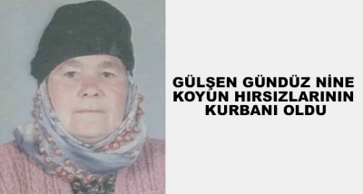 Gülşen Gündüz Nine Koyun Hırsızlarının Kurbanı Oldu