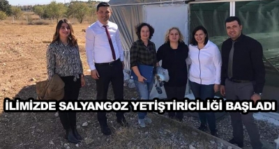 İlimizde Salyangoz Yetiştiriciliği Başladı 