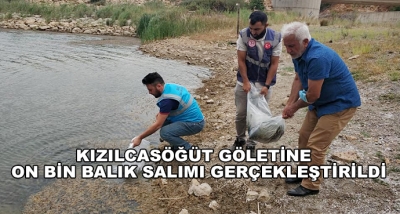 Kızılcasöğüt Göletine  On Bin Balık Salımı Gerçekleştirildi