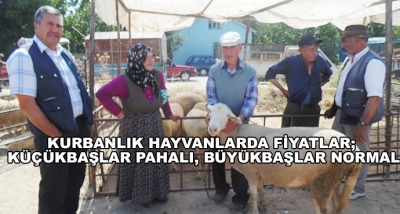 Kurbanlık Hayvanlarda Fiyatlar; Küçükbaşlar Pahalı, Büyükbaşlar Normal