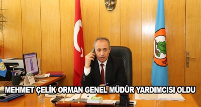 Mehmet Çelik Orman Genel Müdür Yardımcısı Oldu