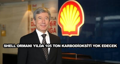 Shell Ormanı Yılda 105 Ton Karbodioksiti Yok Edecek