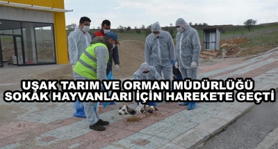 Uşak Tarım Ve Orman Müdürlüğü Sokak Hayvanları İçin Harekete Geçti