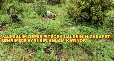 Vali Salim Demir “İtecek Lalesinin Zarafeti Şehrimize Ayrı Bir Anlam Katıyor